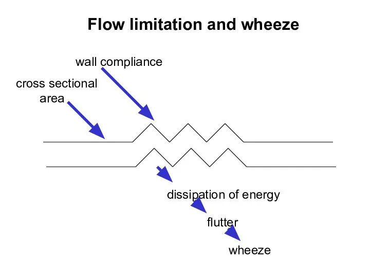 wall compliance cross sectional area dissipation of energy flutter wheeze Flow limitation and wheeze