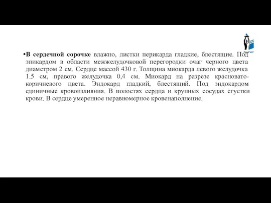 В сердечной сорочке влажно, листки перикарда гладкие, блестящие. Под эпикардом в области