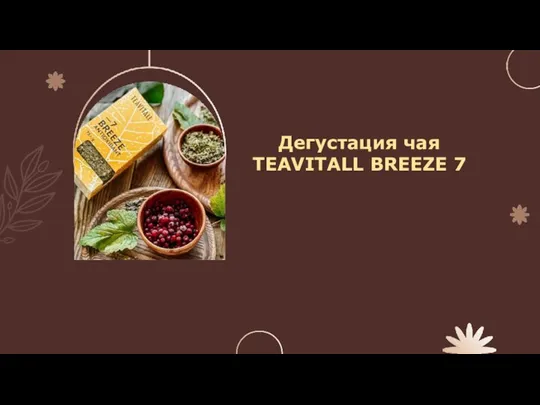 Дегустация чая TEAVITALL BREEZE 7