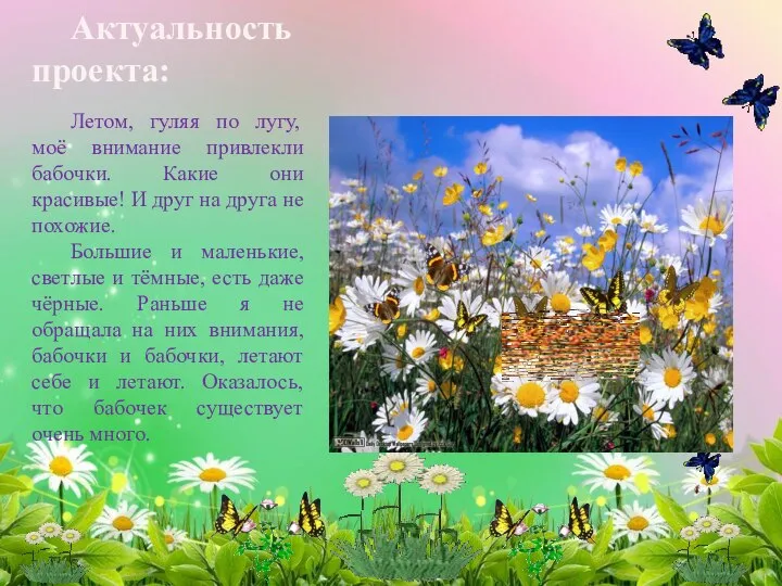 Актуальность проекта: Летом, гуляя по лугу, моё внимание привлекли бабочки. Какие они