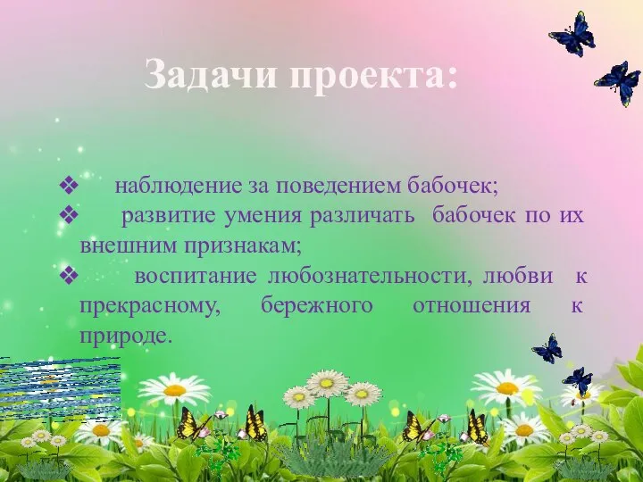 Задачи проекта: наблюдение за поведением бабочек; развитие умения различать бабочек по их