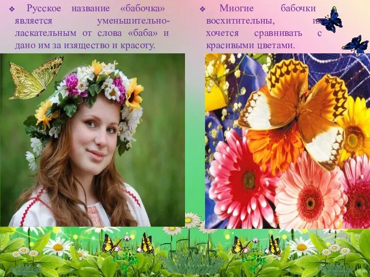 Русское название «бабочка» является уменьшительно-ласкательным от слова «баба» и дано им за