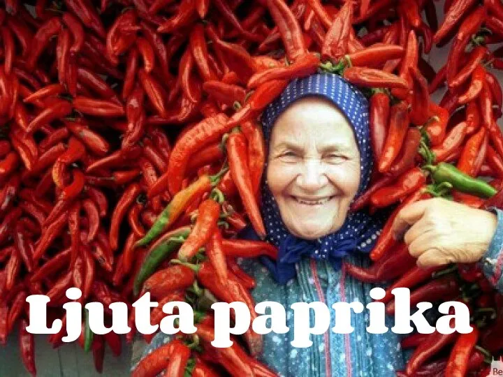 Ljuta paprika