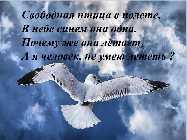 Яя я Свободная птица в полете, В небе синем она одна. Почему