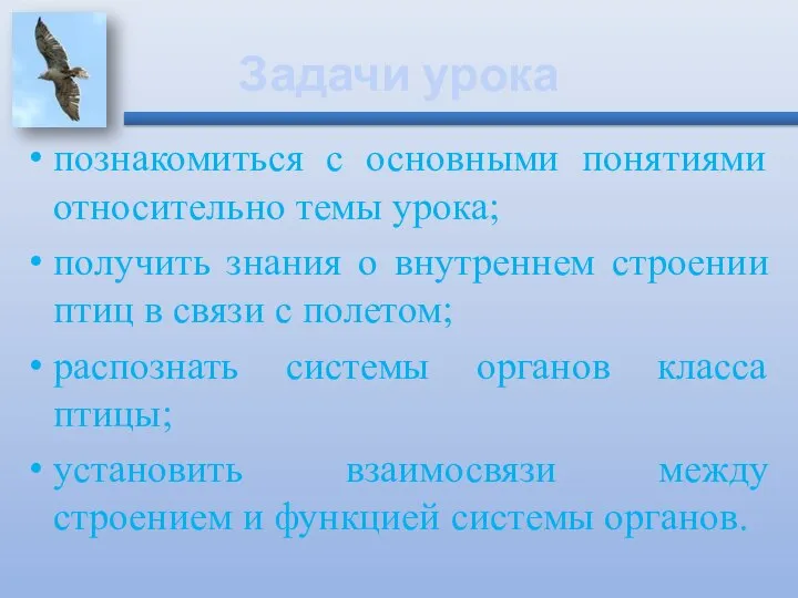 Задачи урока познакомиться с основными понятиями относительно темы урока; получить знания о