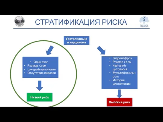 СТРАТИФИКАЦИЯ РИСКА Уротелиальная карцинома Высокий риск Один очаг Размер Low-grade цитология Отсутствие