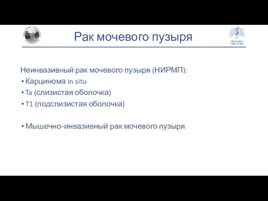 Рак мочевого пузыря Неинвазивный рак мочевого пузыря (НИРМП): Карцинома in situ Ta