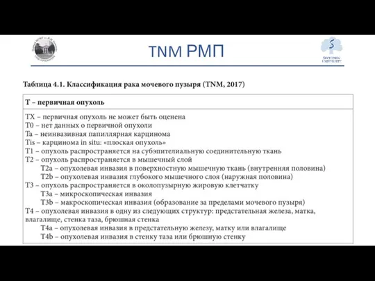 TNM РМП