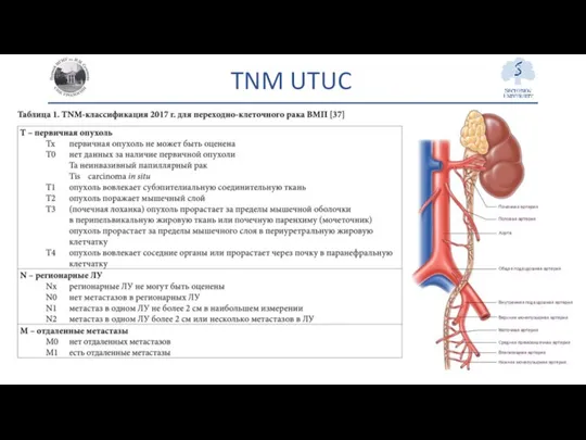 TNM UTUC