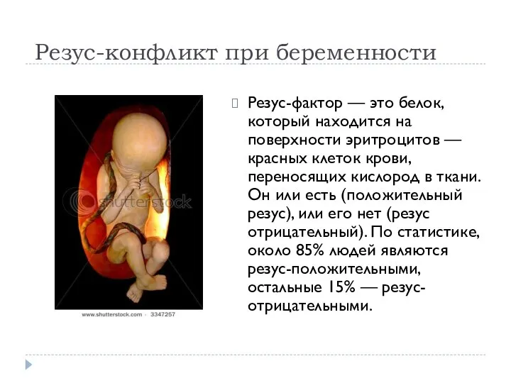 Резус-конфликт при беременности Резус-фактор — это белок, который находится на поверхности эритроцитов