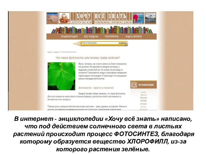 В интернет - энциклопедии «Хочу всё знать» написано, что под действием солнечного