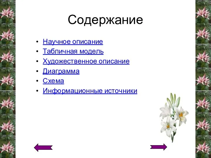 Содержание Научное описание Табличная модель Художественное описание Диаграмма Схема Информационные источники