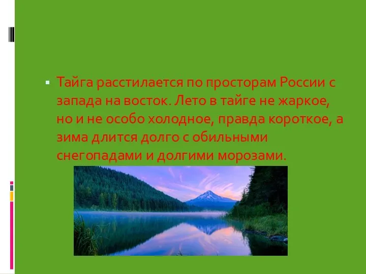 Тайга расстилается по просторам России с запада на восток. Лето в тайге