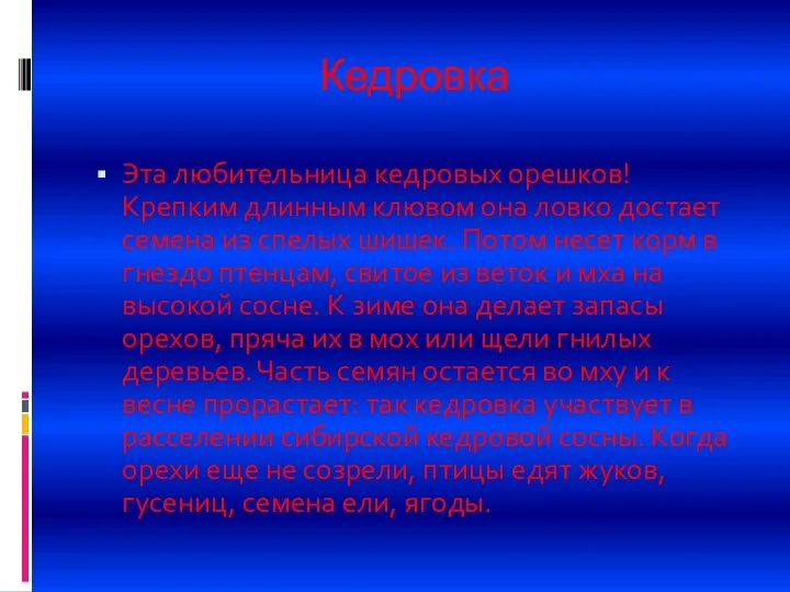 Кедровка Эта любительница кедровых орешков! Крепким длинным клювом она ловко достает семена