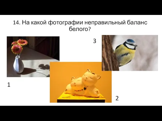 14. На какой фотографии неправильный баланс белого? 1 2 3