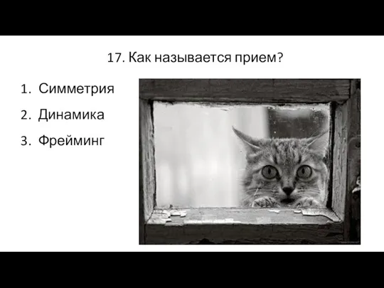 17. Как называется прием? Симметрия Динамика Фрейминг