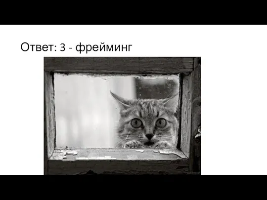 Ответ: 3 - фрейминг