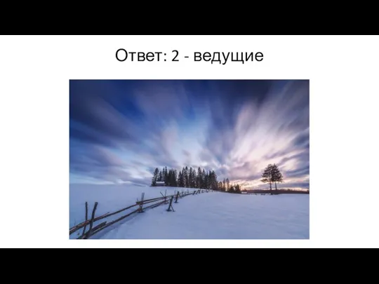 Ответ: 2 - ведущие