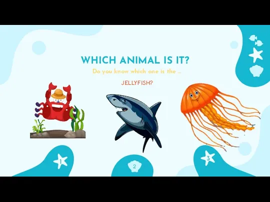 WHICH ANIMAL IS IT? 1 JELLYFISH? Do you know which one is