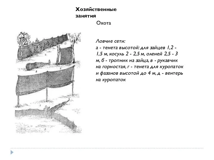 Хозяйственные занятия Охота Ловчие сети: а - тенета высотой: для зайцев 1,2