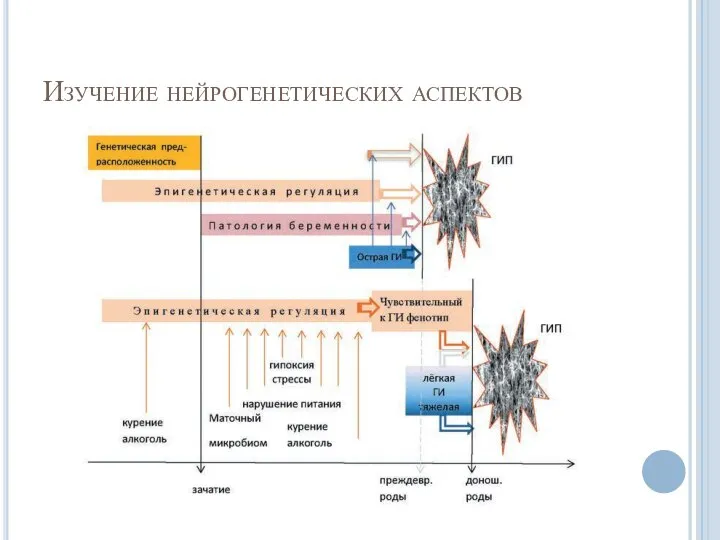 Изучение нейрогенетических аспектов