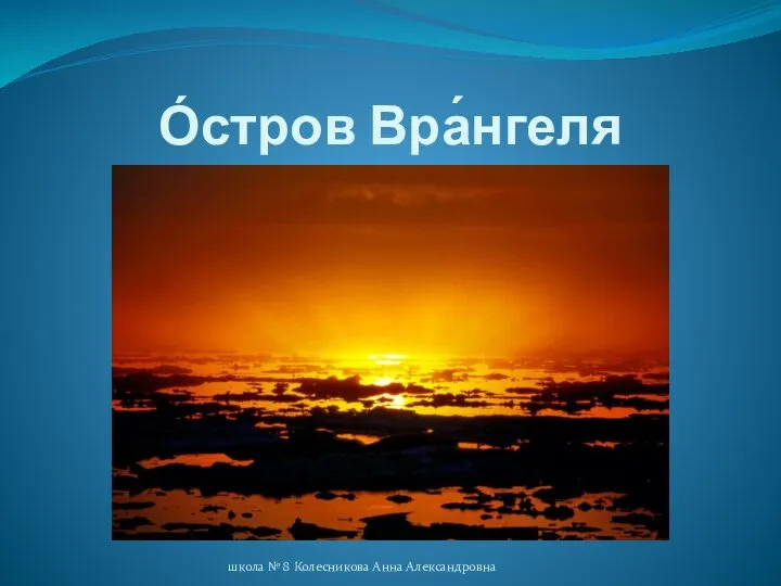 О́стров Вра́нгеля школа № 8 Колесникова Анна Александровна