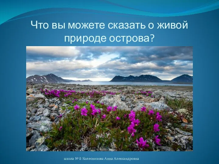 Что вы можете сказать о живой природе острова? школа № 8 Колесникова Анна Александровна