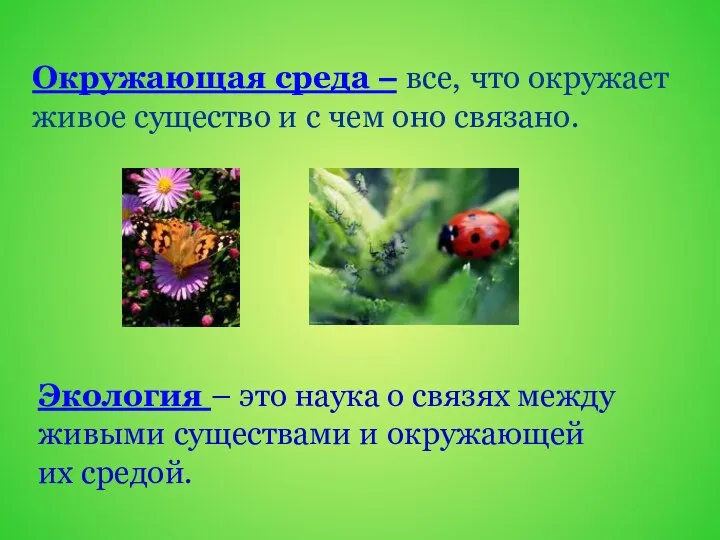 Окружающая среда – все, что окружает живое существо и с чем оно