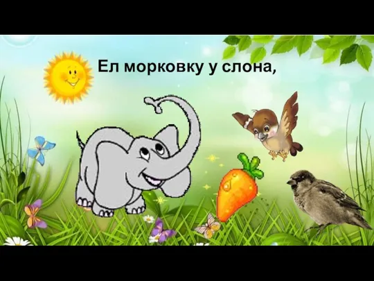 Ел морковку у слона,