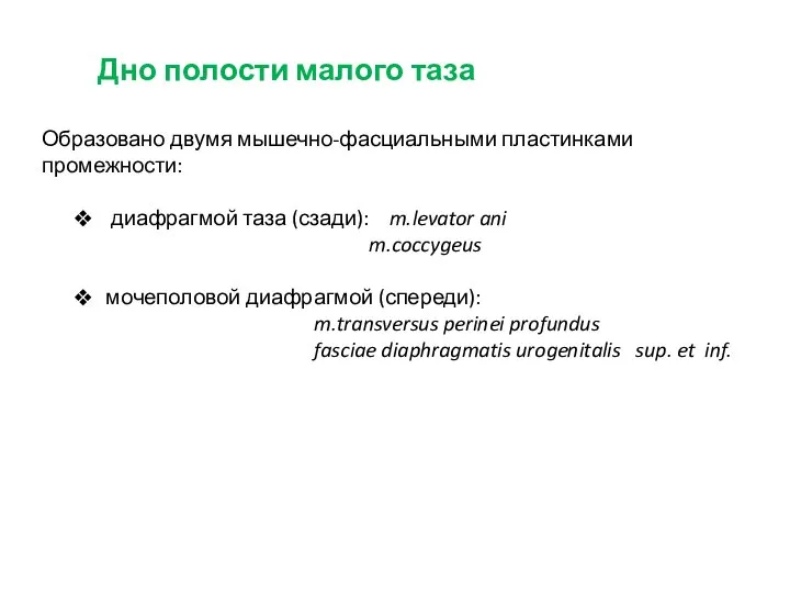 Дно полости малого таза Образовано двумя мышечно-фасциальными пластинками промежности: диафрагмой таза (сзади):