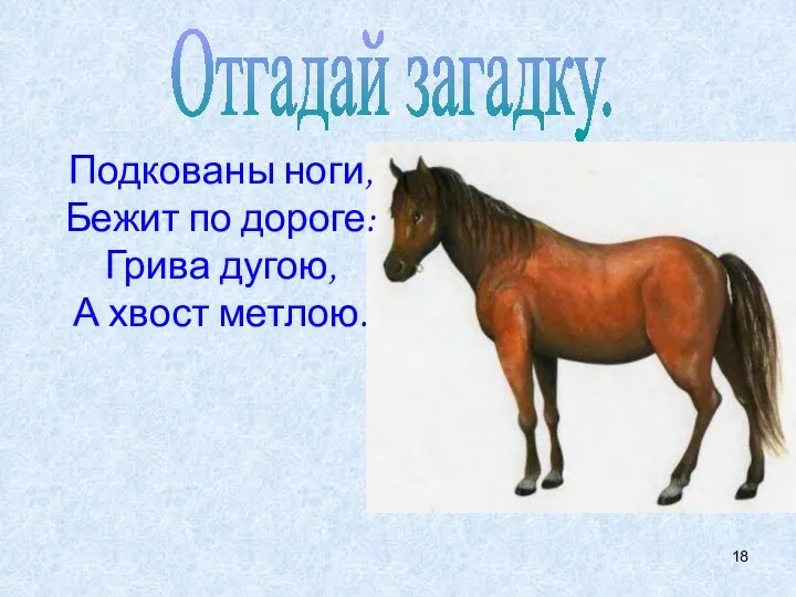 Отгадай загадку. Подкованы ноги, Бежит по дороге: Грива дугою, А хвост метлою.