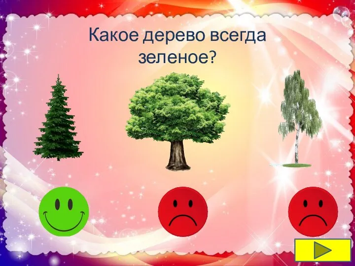 Какое дерево всегда зеленое?