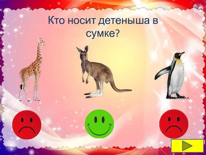 Кто носит детеныша в сумке?