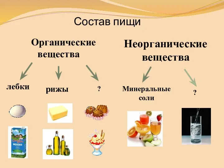 Состав пищи Органические вещества Неорганические вещества лебки рижы ? Минеральные соли ?