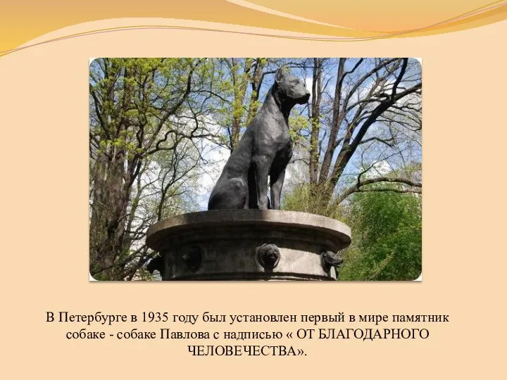В Петербурге в 1935 году был установлен первый в мире памятник собаке