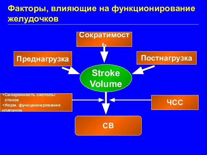 Stroke Volume Преднагрузка Постнагрузка Сократимость СВ ЧСС Факторы, влияющие на функционирование желудочков