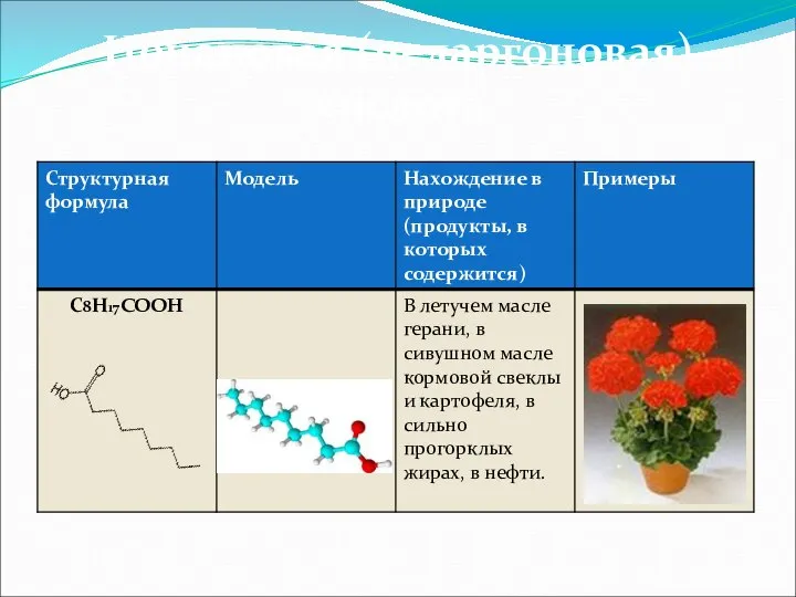 Нонановая (пеларгоновая) кислота