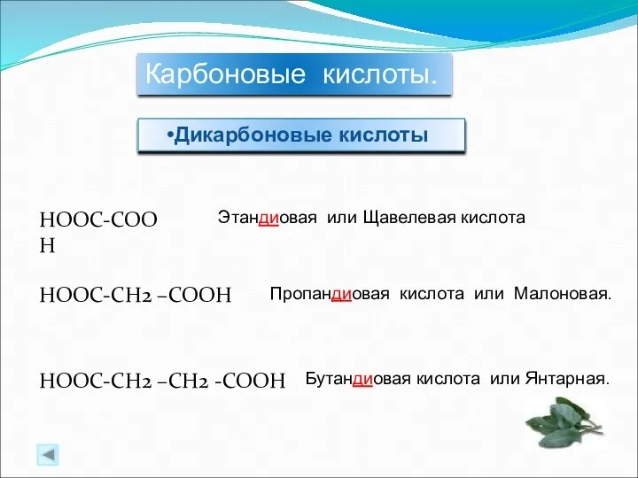 Карбоновые кислоты. Дикарбоновые кислоты Этандиовая или Щавелевая кислота Пропандиовая кислота или Малоновая. Бутандиовая кислота или Янтарная.