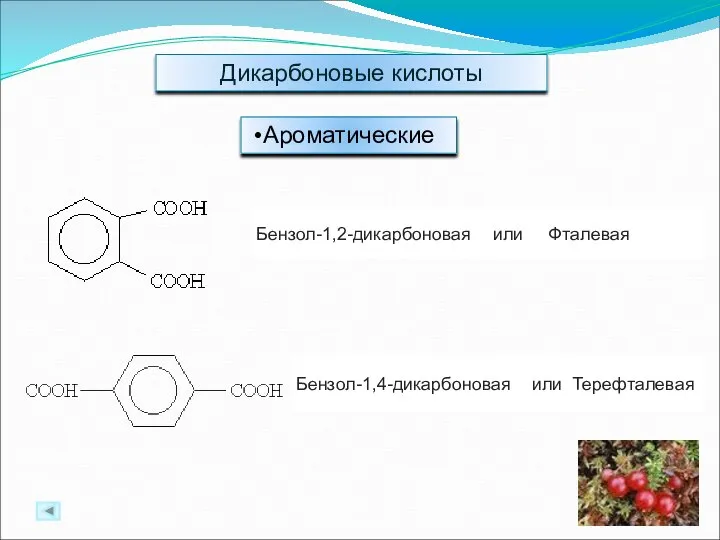 Дикарбоновые кислоты Ароматические