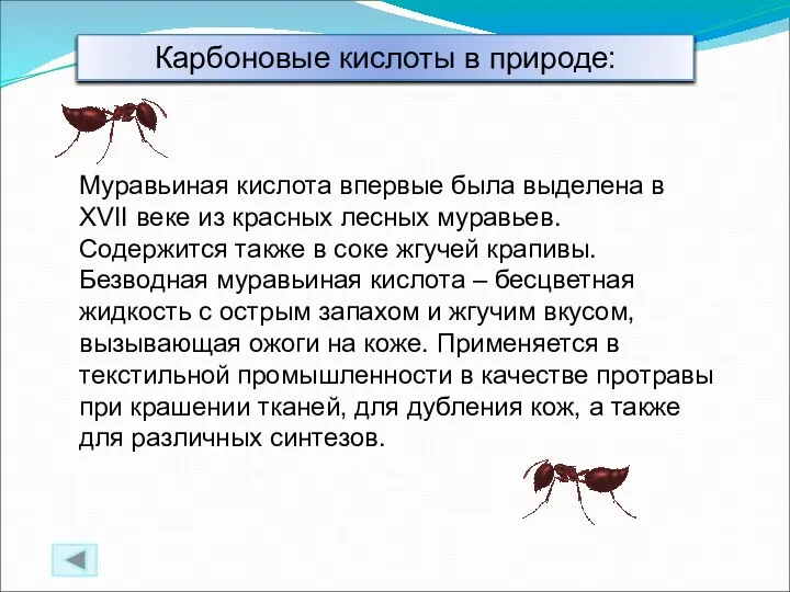 Муравьиная кислота впервые была выделена в XVII веке из красных лесных муравьев.