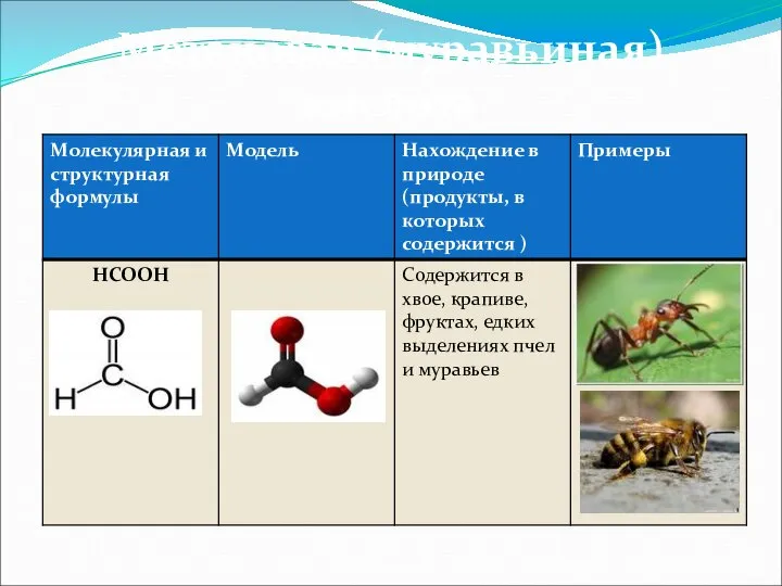 Метановая (муравьиная) кислота