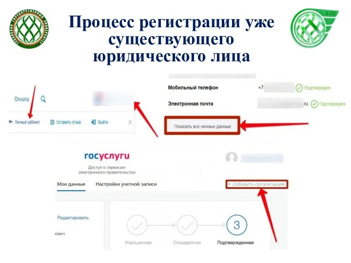 Процесс регистрации уже существующего юридического лица