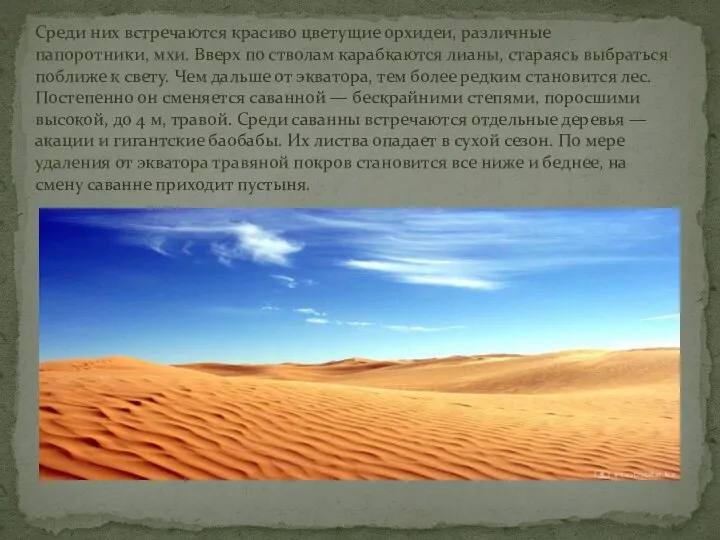 Среди них встречаются красиво цветущие орхидеи, различные папоротники, мхи. Вверх по стволам