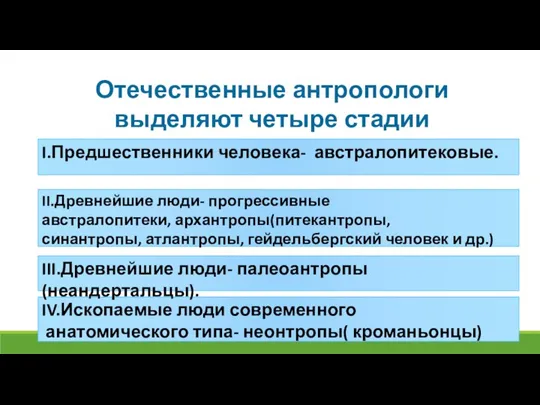 Отечественные антропологи выделяют четыре стадии антропогенеза I.Предшественники человека- австралопитековые. IV.Ископаемые люди современного