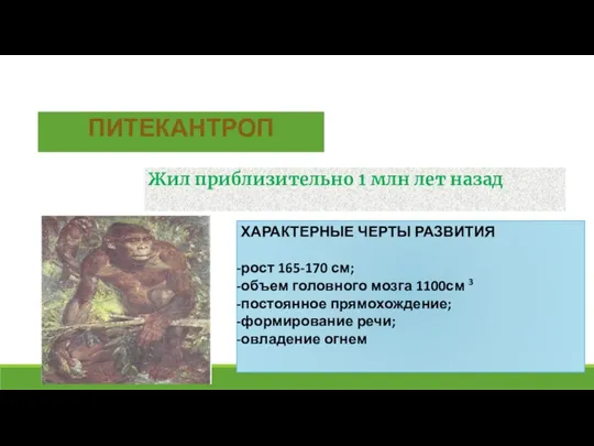 ПИТЕКАНТРОП ХАРАКТЕРНЫЕ ЧЕРТЫ РАЗВИТИЯ рост 165-170 см; объем головного мозга 1100см 3