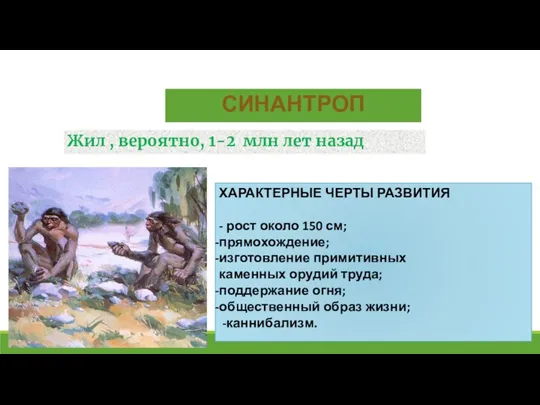 СИНАНТРОП ХАРАКТЕРНЫЕ ЧЕРТЫ РАЗВИТИЯ - рост около 150 см; прямохождение; изготовление примитивных