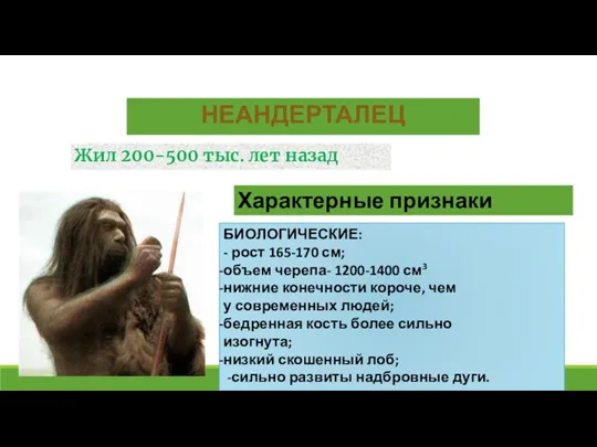 НЕАНДЕРТАЛЕЦ БИОЛОГИЧЕСКИЕ: - рост 165-170 см; объем черепа- 1200-1400 см3 нижние конечности