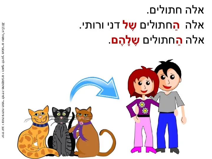 אלה חתולים. אלה הַחתולים שֶל דני ורותי. אלה הַחתולים שֶלָהֶם.