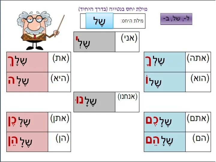 שֶל שֶל שֶלָ שֶלְ שֶלָ שֶלִ שֶלָ שֶלָ שֶלָ שֶלָ שֶלָ