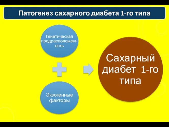 Патогенез сахарного диабета 1-го типа